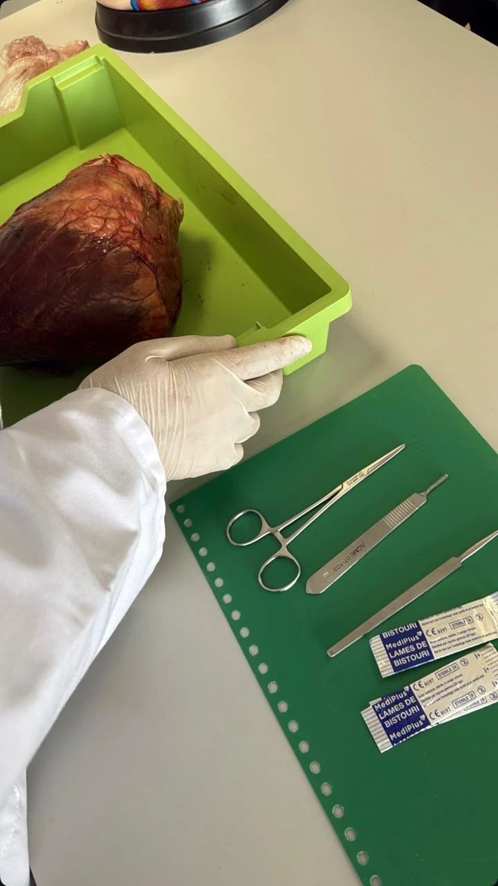 Lab work